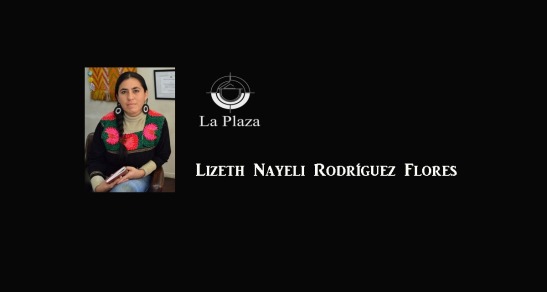 Lizeth Nayeli Rodriguez Flores